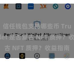 信任钱包支持哪些币 Trust Wallet 是否复古 NFT 质押？收益指南